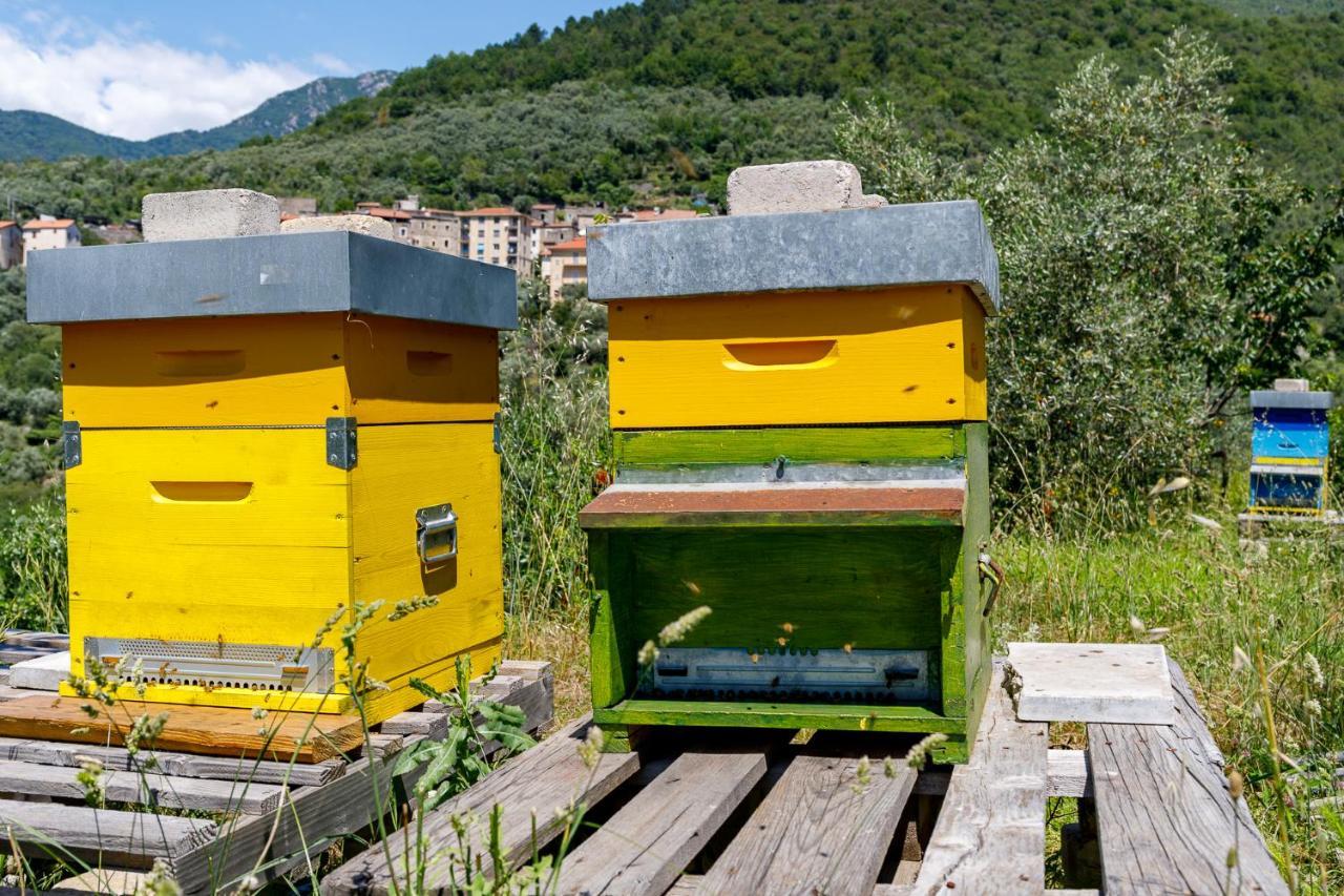 Arve Castelbianco - B&B E Appartamento Colletta Luaran gambar