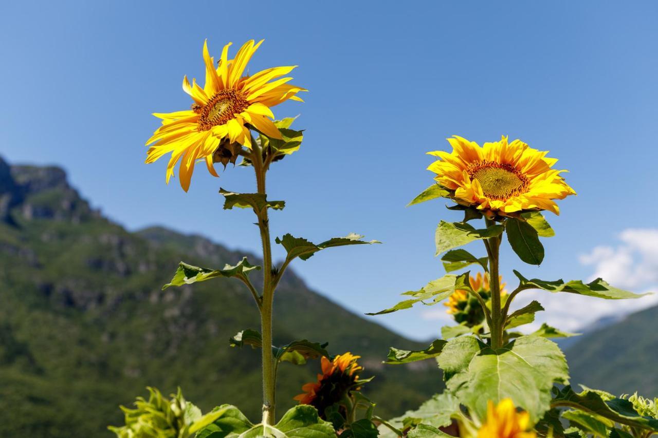 Arve Castelbianco - B&B E Appartamento Colletta Luaran gambar